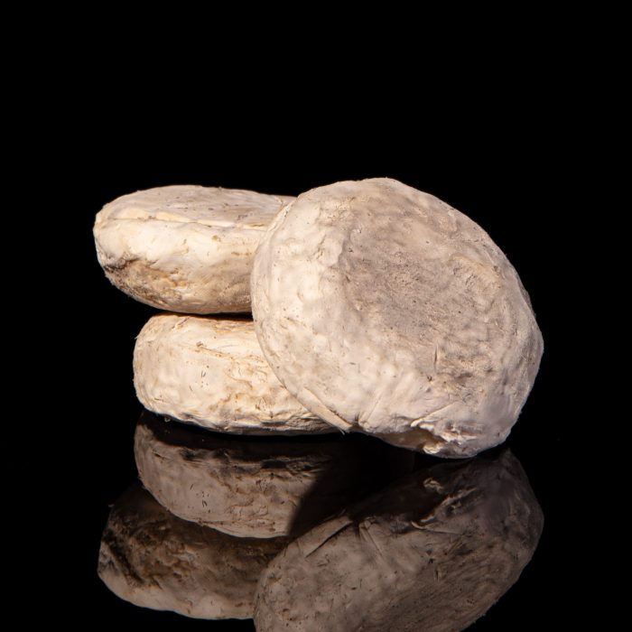 PICODON
